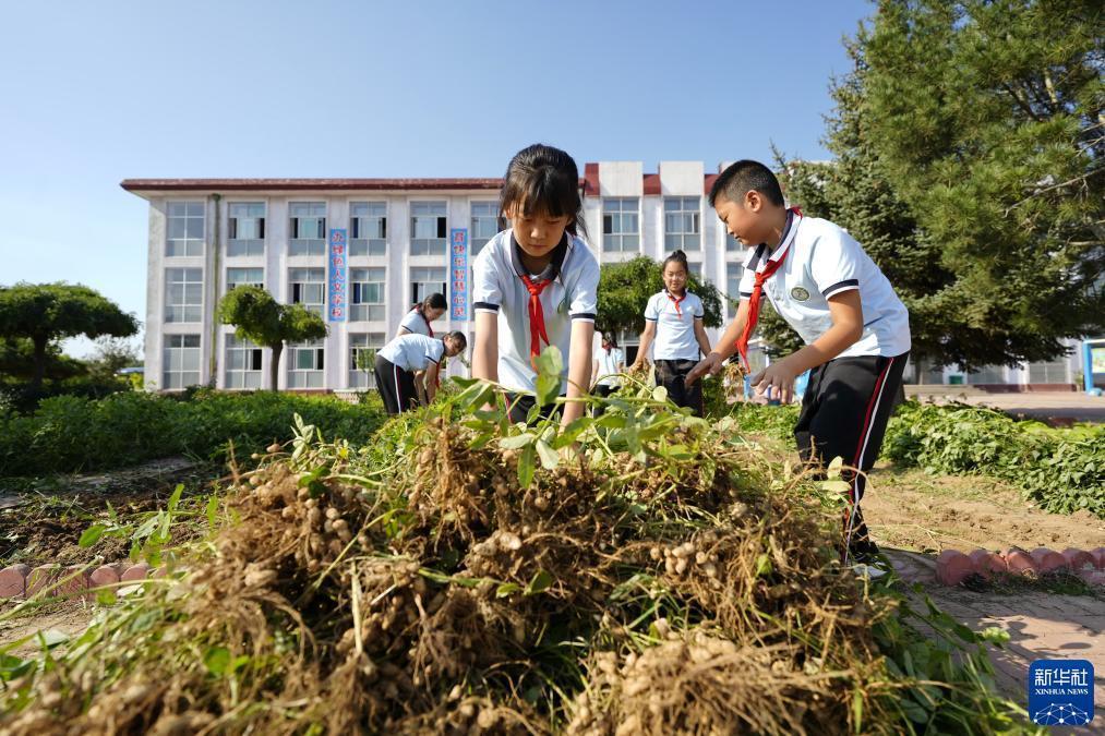 ag真人国际厅